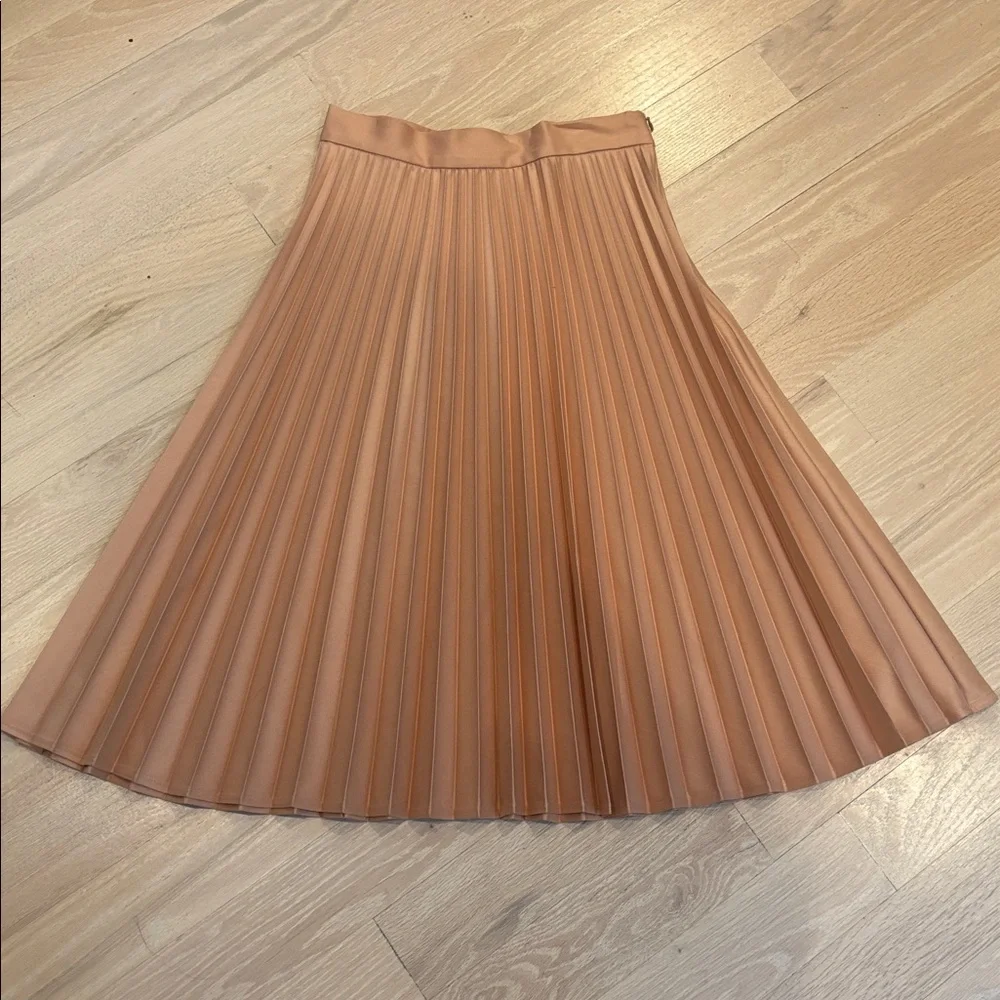 Zara Rose A-Line Pleated Skirt - Picture 2 of 4